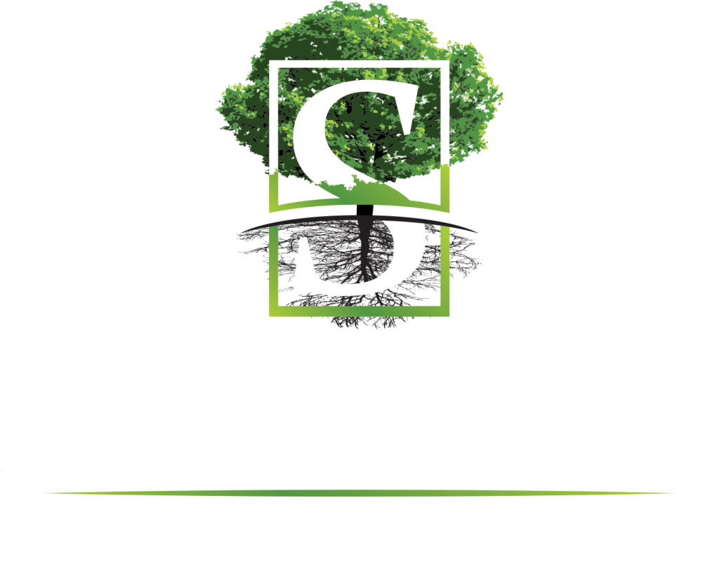 Current Developments - Shrock Real Estate